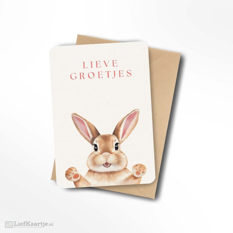 konijntje lieve groetjes
