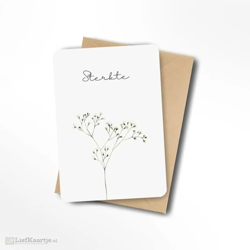 Sterkte