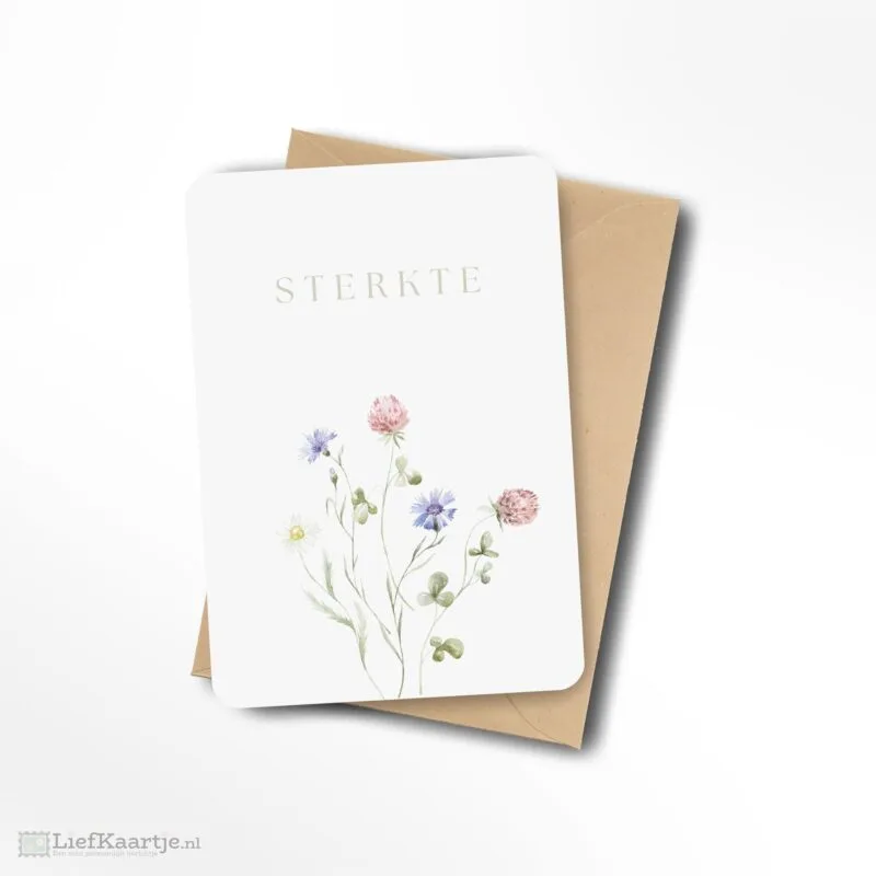 Sterkte